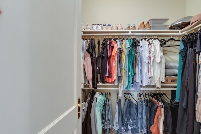 view of walk in closet