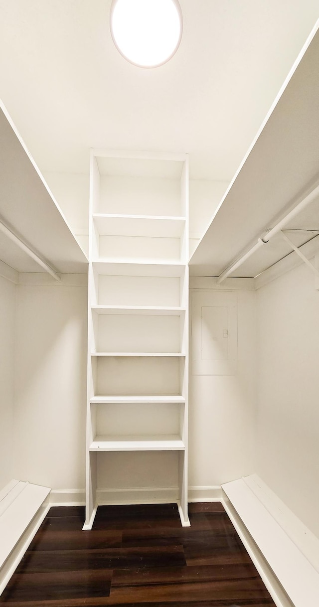 spacious closet with dark wood finished floors