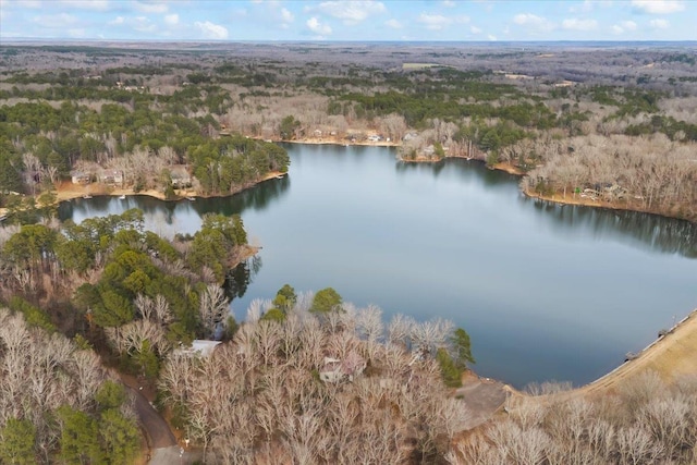 birds eye view of property with a water view and a forest view