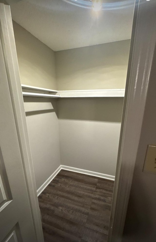 spacious closet featuring dark wood-type flooring