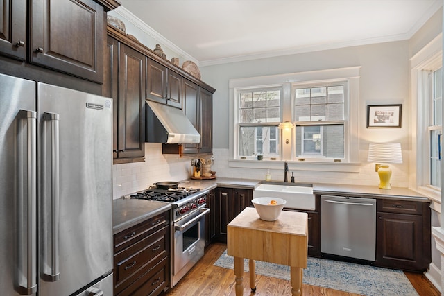 kitchen featuring dark brown cabinetry, under cabinet range hood, high quality appliances, and a sink