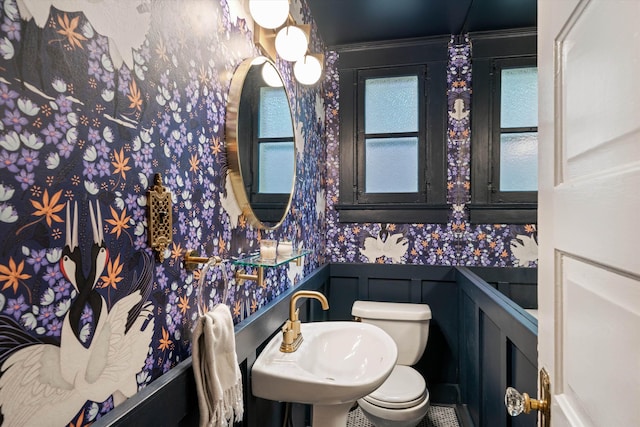 half bath with a wainscoted wall, a sink, a decorative wall, and toilet