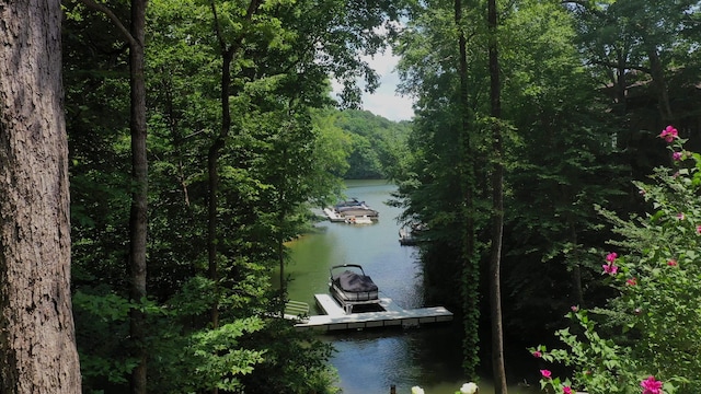 water view with a view of trees and a floating dock