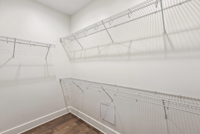 spacious closet featuring dark wood-style flooring