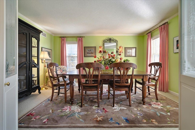 dining room with a textured ceiling, ornamental molding, carpet flooring, and a healthy amount of sunlight