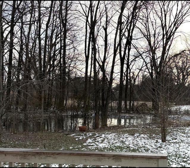 view of yard layered in snow