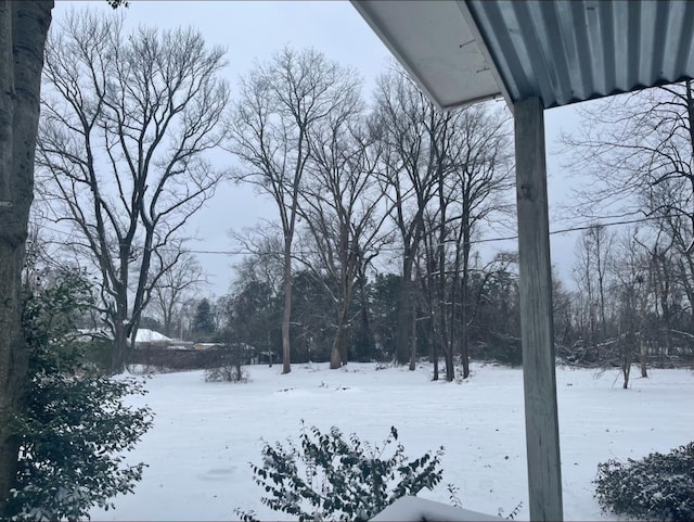 view of yard layered in snow