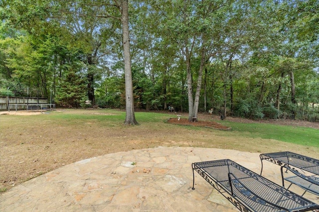 view of yard with a patio area