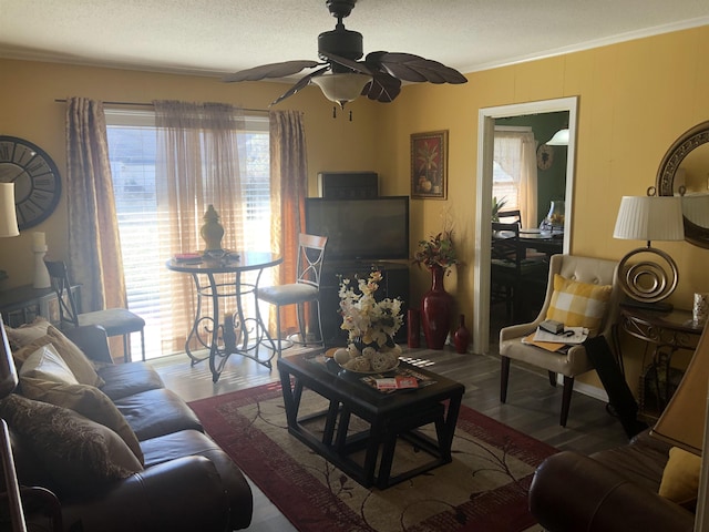 living area with ceiling fan, crown molding, a textured ceiling, and wood finished floors