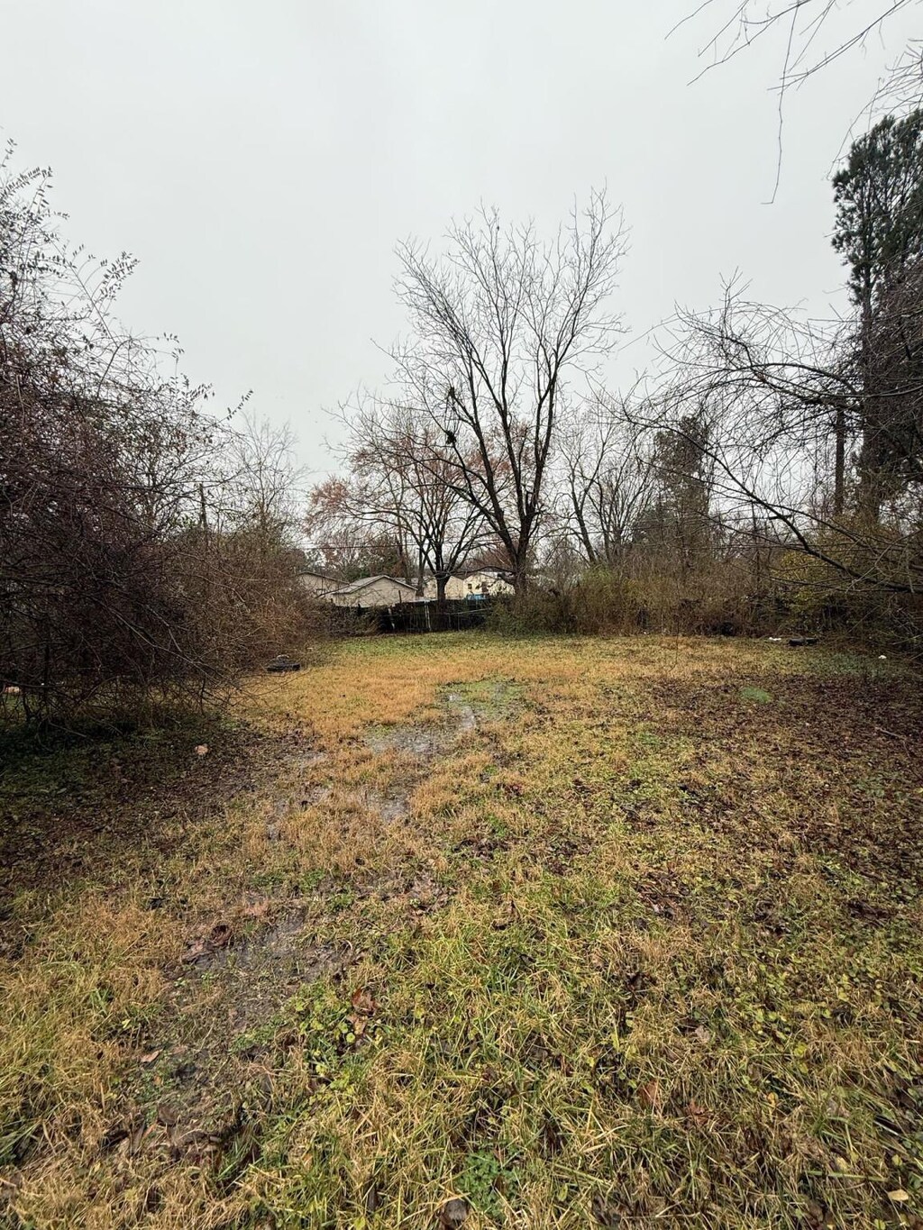 2569 Sunny Hill Dr, Memphis, TN 38127 - view of yard