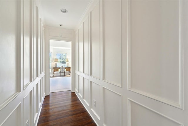 corridor featuring dark wood finished floors and a decorative wall