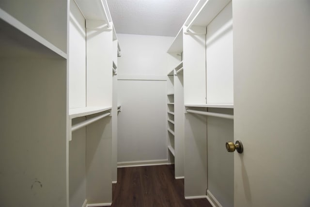 walk in closet featuring dark wood-style flooring