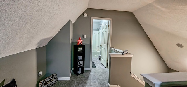 additional living space featuring lofted ceiling, a textured ceiling, carpet flooring, and baseboards