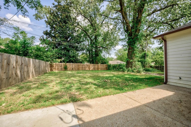 view of yard featuring a patio area and a fenced backyard