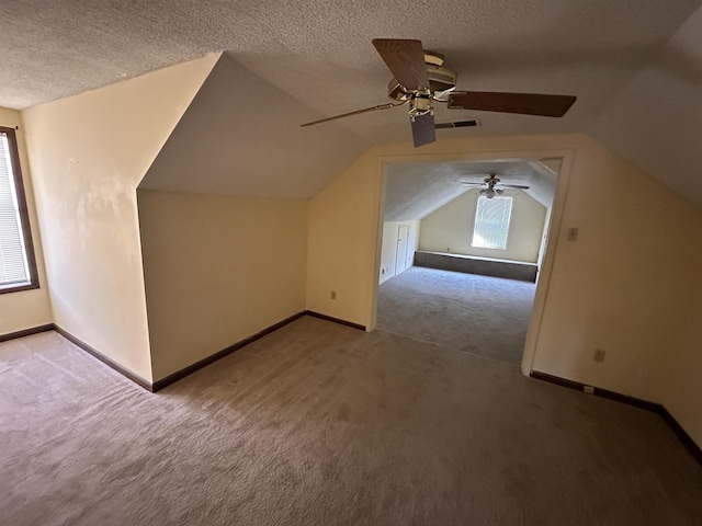 additional living space with a textured ceiling, carpet floors, lofted ceiling, and baseboards