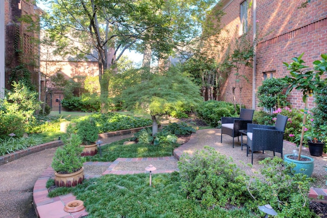 view of yard featuring a patio