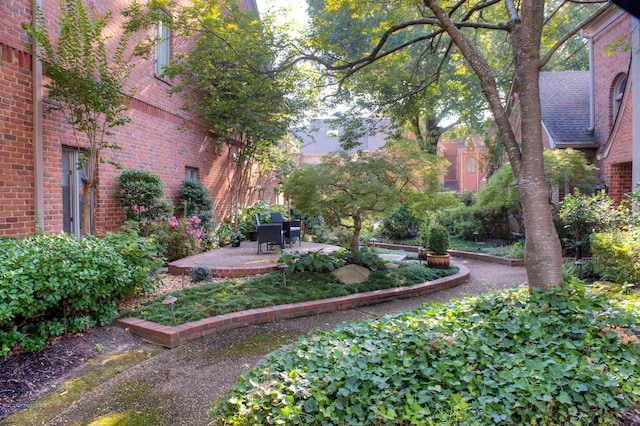 view of yard with a patio area