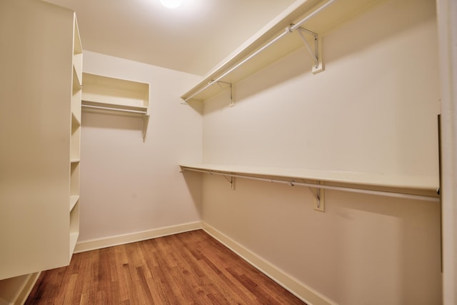 spacious closet featuring wood finished floors