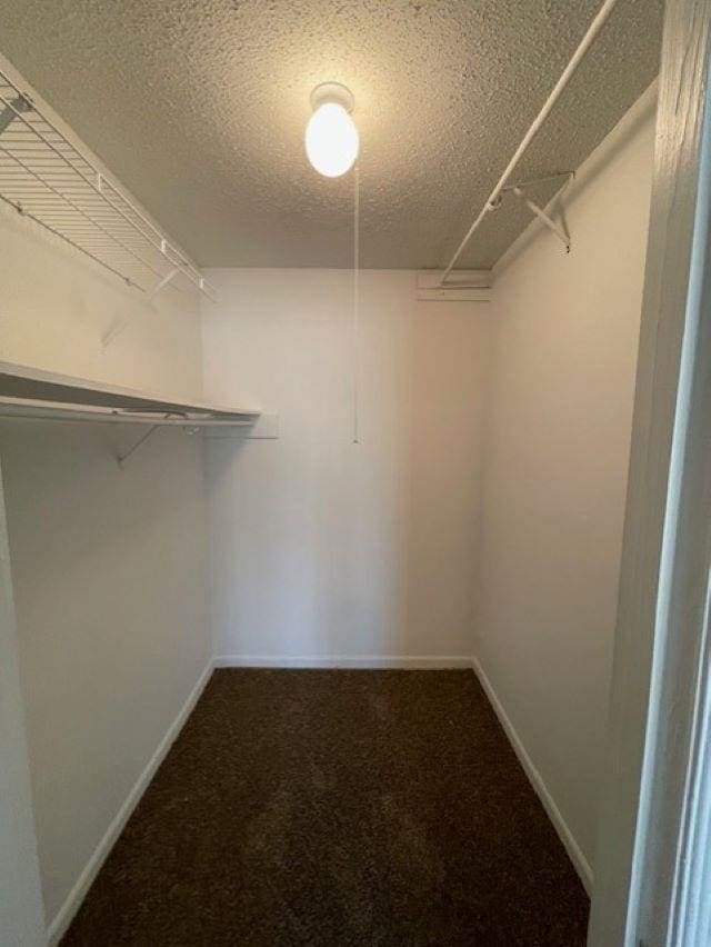 walk in closet with carpet floors