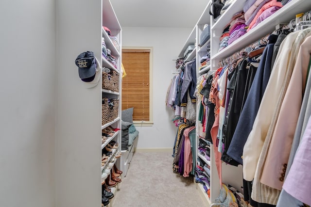 spacious closet featuring carpet floors