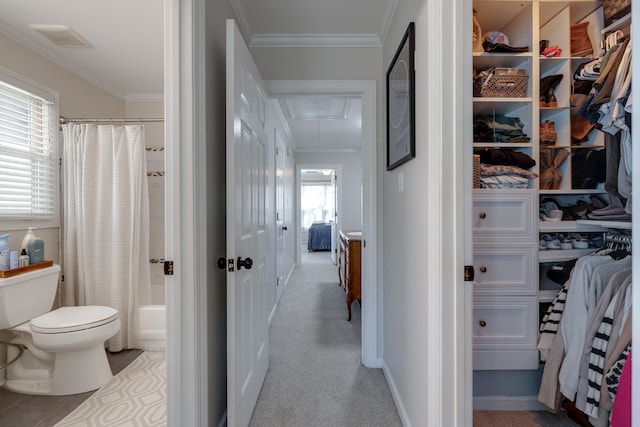 interior space featuring carpet, attic access, visible vents, and crown molding