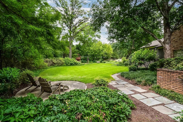 view of yard featuring a patio