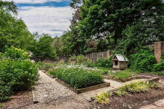 view of yard featuring a fenced backyard, a vegetable garden, an outdoor structure, and a storage shed