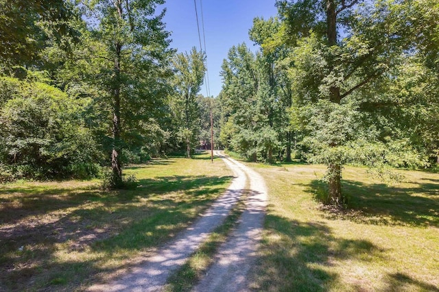 15250 US Highway 70, Stanton TN, 38069 land for sale