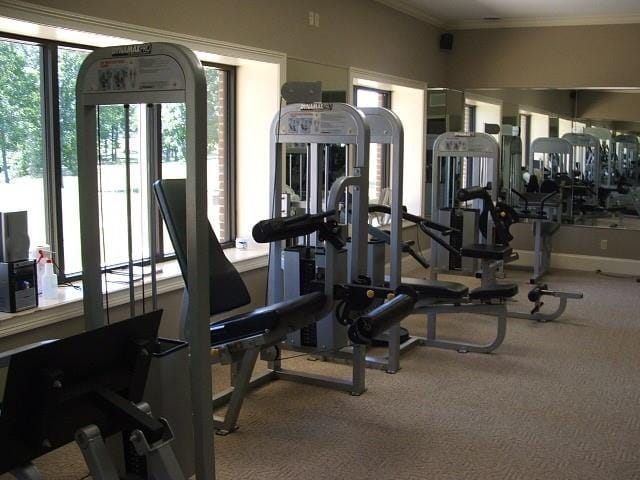 exercise room with ornamental molding