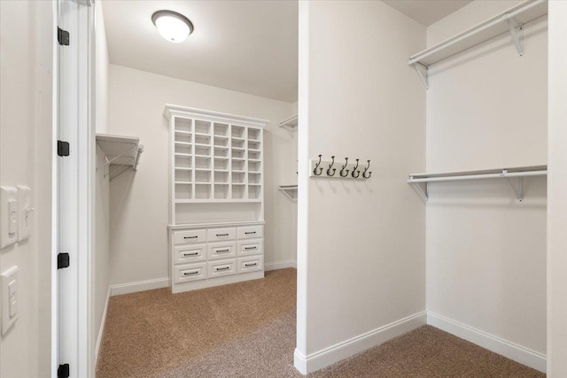 spacious closet with carpet floors