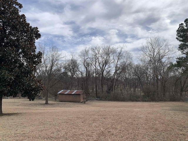 view of yard featuring a storage shed and an outbuilding