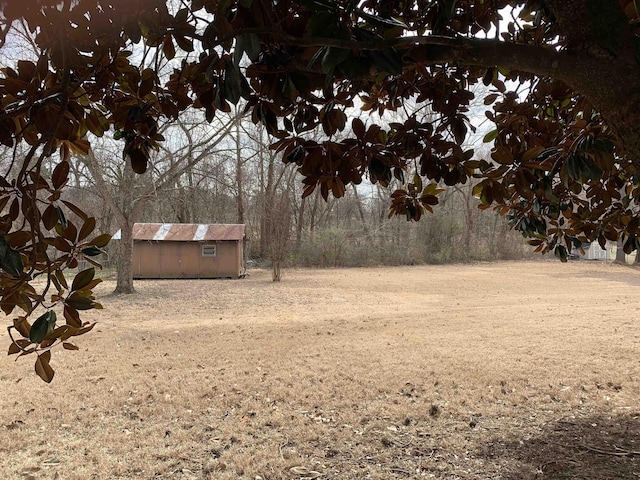 view of yard with a storage unit and an outdoor structure