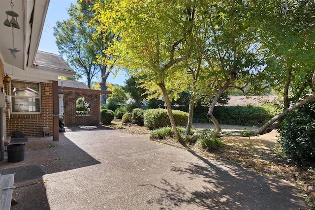 view of yard featuring a patio and driveway