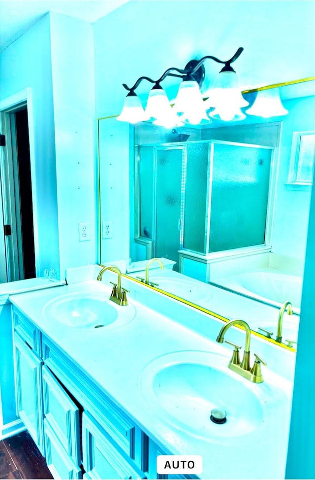 full bath featuring double vanity, a shower stall, and a sink