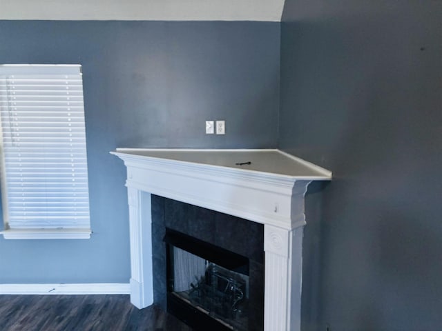 interior details with wood finished floors, baseboards, and a premium fireplace