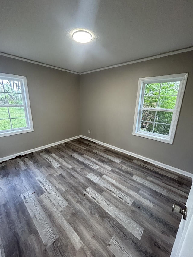 spare room with a textured ceiling, baseboards, dark wood finished floors, and crown molding