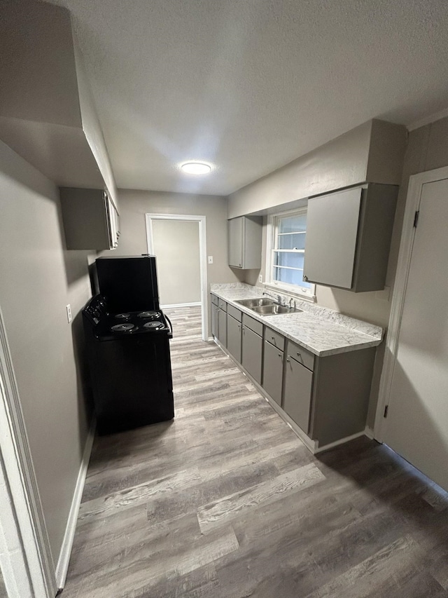 kitchen featuring a textured ceiling, gray cabinetry, wood finished floors, a sink, and light countertops