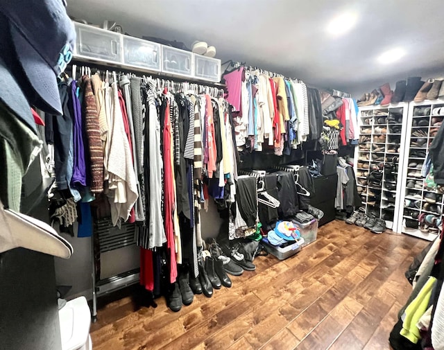 spacious closet featuring wood finished floors