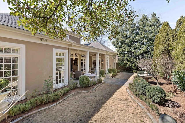 view of yard featuring a patio area