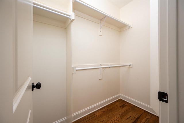 spacious closet featuring dark wood finished floors