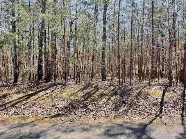 Listing photo 2 for LOT146 Blue Heron Pt, Counce TN 38326