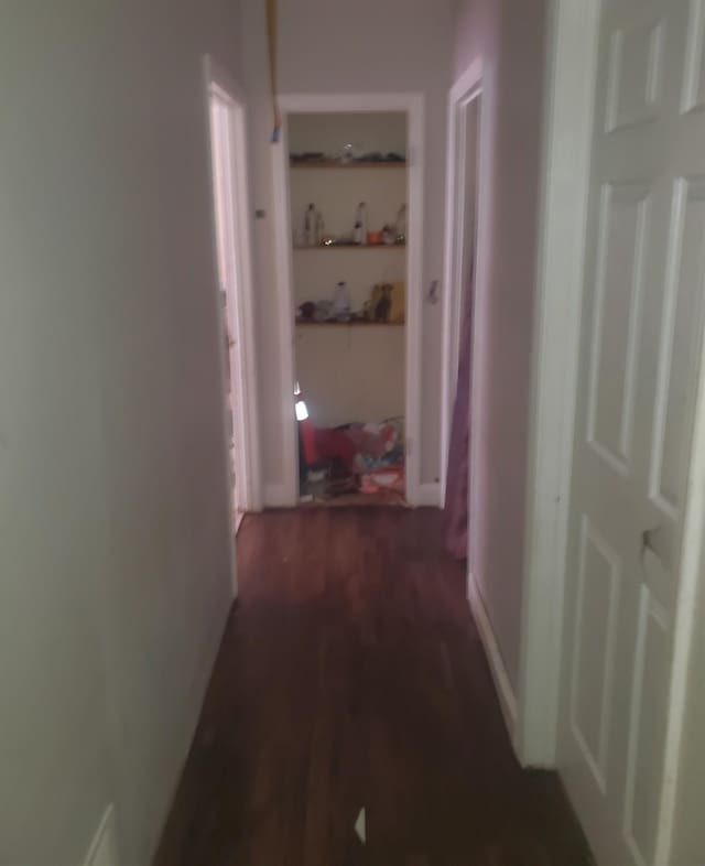 hallway with dark wood-style flooring