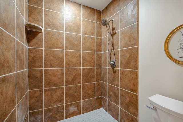 bathroom with tiled shower and toilet