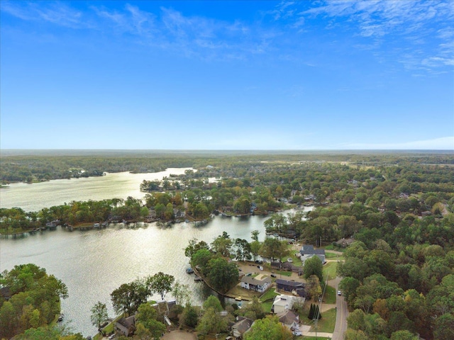 birds eye view of property featuring a forest view and a water view