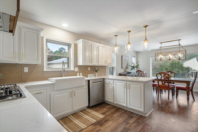 kitchen with appliances with stainless steel finishes, dark wood-type flooring, a sink, and white cabinetry