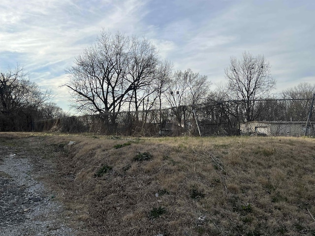 view of local wilderness