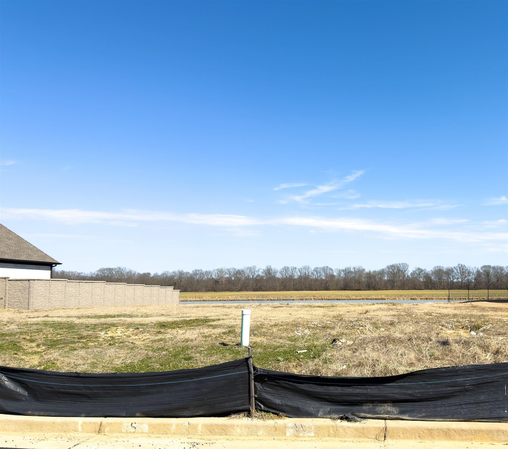 view of yard with a rural view