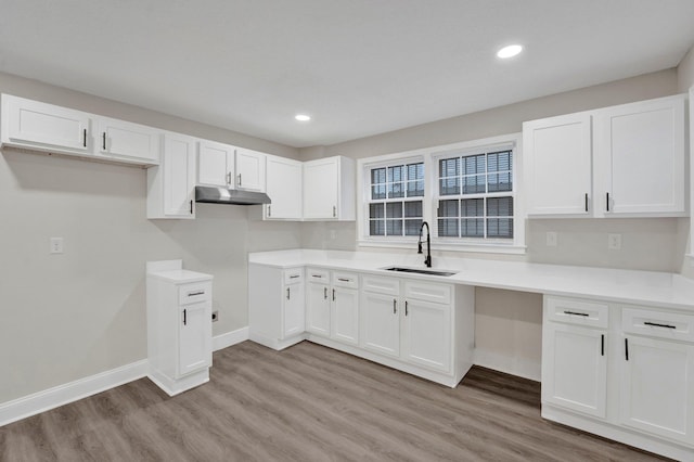 kitchen featuring light wood-style floors, a sink, under cabinet range hood, and baseboards