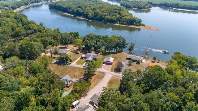 bird's eye view with a water view and a wooded view