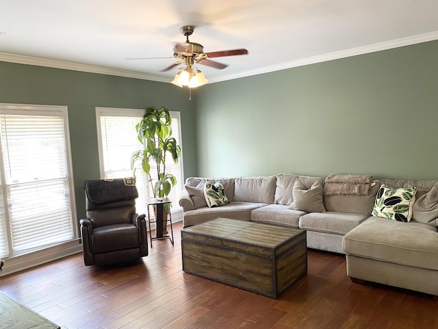 living room featuring ceiling fan, ornamental molding, and dark wood finished floors